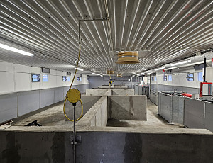 Rekonstrukce haly chovu prasat